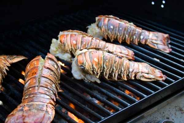 Lobster Tails Perfect For Grilling or Baking – FarmTasteⓇ