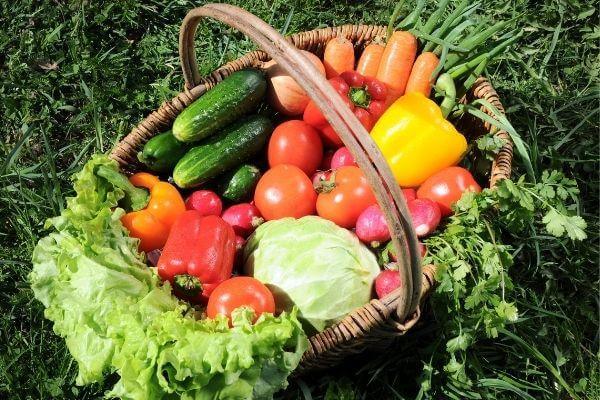 Farm-fresh vegetables
